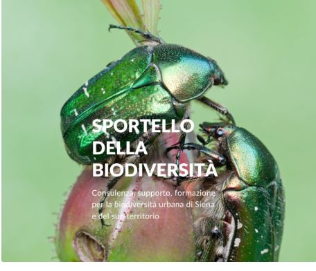 Siena: Nasce lo “Sportello della Biodiversità” al Museo di Storia Naturale dell’Accademia dei&nbsp;Fisiocritici
