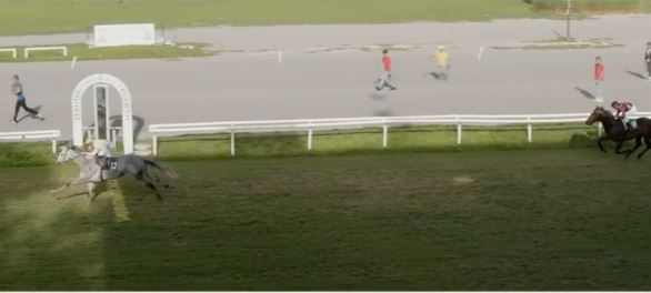 Ippica, Firenze, Milano, Napoli e Siracusa: Oggi 29/10 Risultati Odierni Convegni di&nbsp;Corse