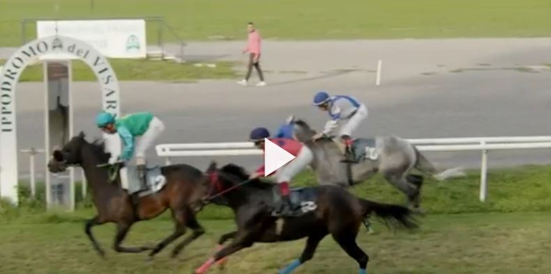 Ippica, Firenze: Oggi 13/10 Corse A.A., Chiosa Vince Vince la&nbsp;5^