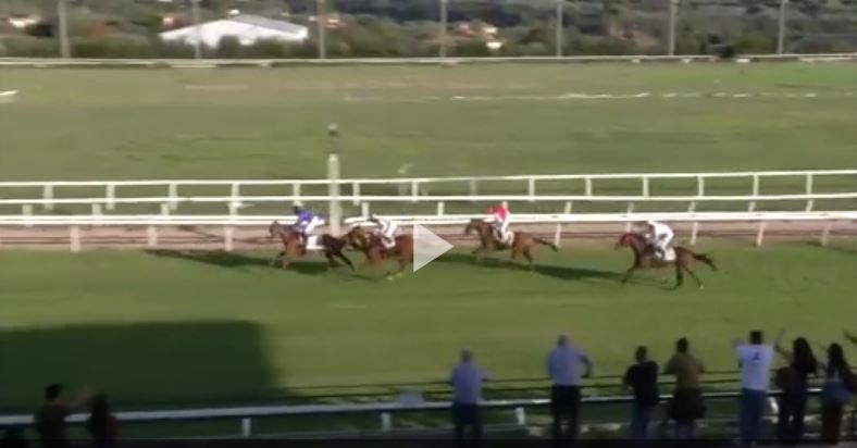 Ippica, Roma e Sassari: Oggi 14/10 Risultati Odierni Convegni di&nbsp;Corse