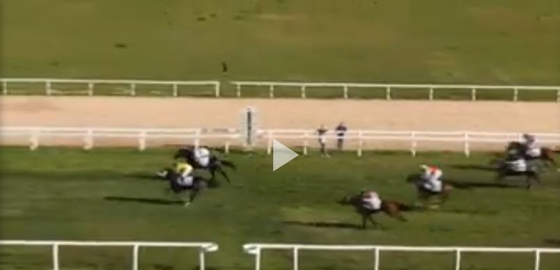 Ippica, Napoli e Villacidro: Oggi 02/11 Risultati Odierni Convegni di&nbsp;Corse