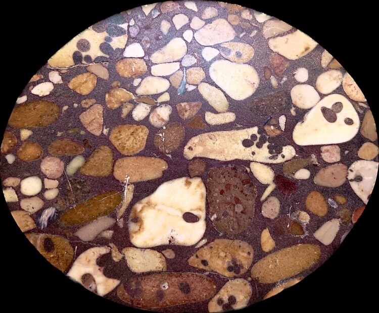 Siena, I marmi antichi dei Fisiocritici: Risolto il giallo della Breccia&nbsp;frutticolosa