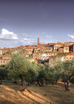 Provincia di Siena, Sinalunga, prosegue il progetto ‘Stop Amianto’: Consegnati altri kit per la rimozione del&nbsp;materiale