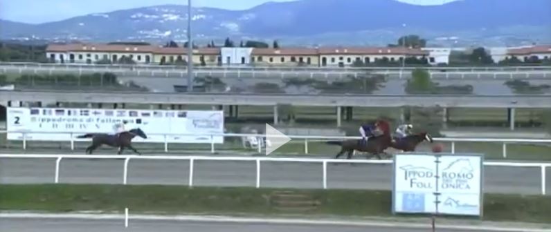 Ippica, Follonica: Oggi 09/11 Corse A.A., Zio Fabry Vince la 2^, Adone da Clodia Vince la&nbsp;4^