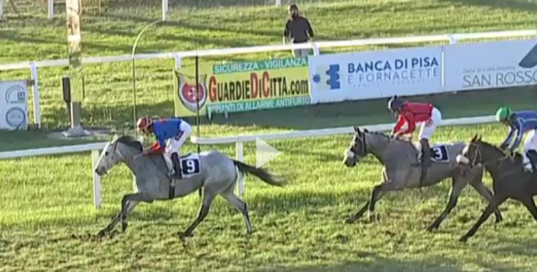 Ippica, Pisa: Oggi 27/11 Corse A.A., Cuore Impavido Vince la 3^, L’Imperatrice Vince la&nbsp;5^