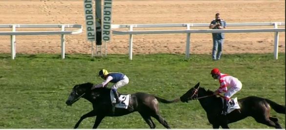 Ippica, Napoli e Villacidro: Oggi 08/11 Risultati odierni Convegni di&nbsp;Corse