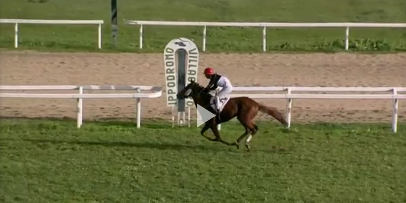 Ippica, Napoli e Villacidro: Oggi 29/11 Risultati Odierni Convegni di&nbsp;Corse