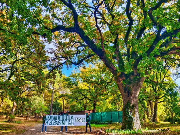 Siena: Giornata Nazionale dell’albero, la città la celebra piantandone uno nel parco&nbsp;comunale
