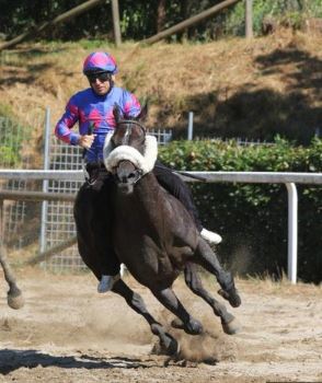 Palii, Canino: vittoria per Mario Mocci su&nbsp;Bosea