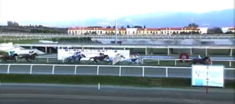 Ippica, Follonica e Siracusa: Oggi 11/02 Risultati Odierni Convegni di&nbsp;Corse