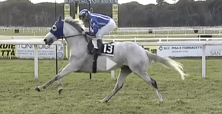 Ippica, Pisa: Oggi 23/02 Corse A.A., Anubi da Clodia Vince la 2^, Zeta Penny  Vince la&nbsp;5^