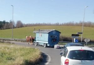 Sienqa: Famiglia svizzera circola per le strade di Siena dentro casetta di legno trainata da&nbsp;cavalli