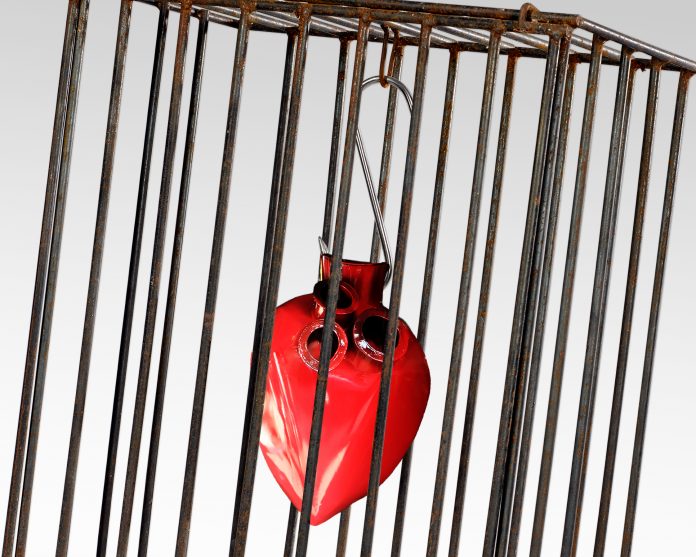 Provincia di Siena: La violenza non è amore: installazione di Anna&nbsp;Izzo