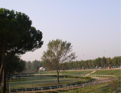 Palio di Fucecchio: Sabato 08/04 Inaugurazione Area Fitness nella Buca del&nbsp;Palio