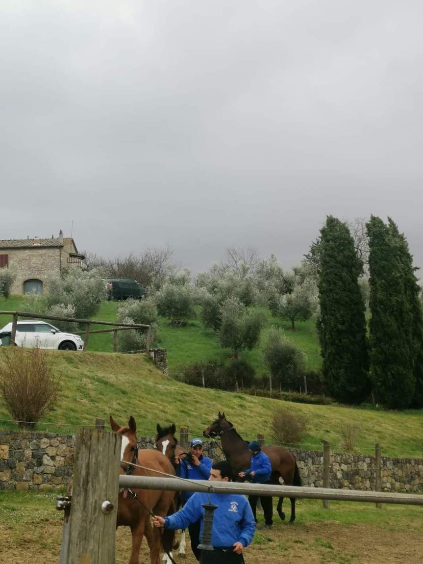 palio di Siena, Previsite, Carboni : ”L’obbiettivo è alzare il nerbo”, Sanna: “Per Luglio ho tante&nbsp;possibilità”