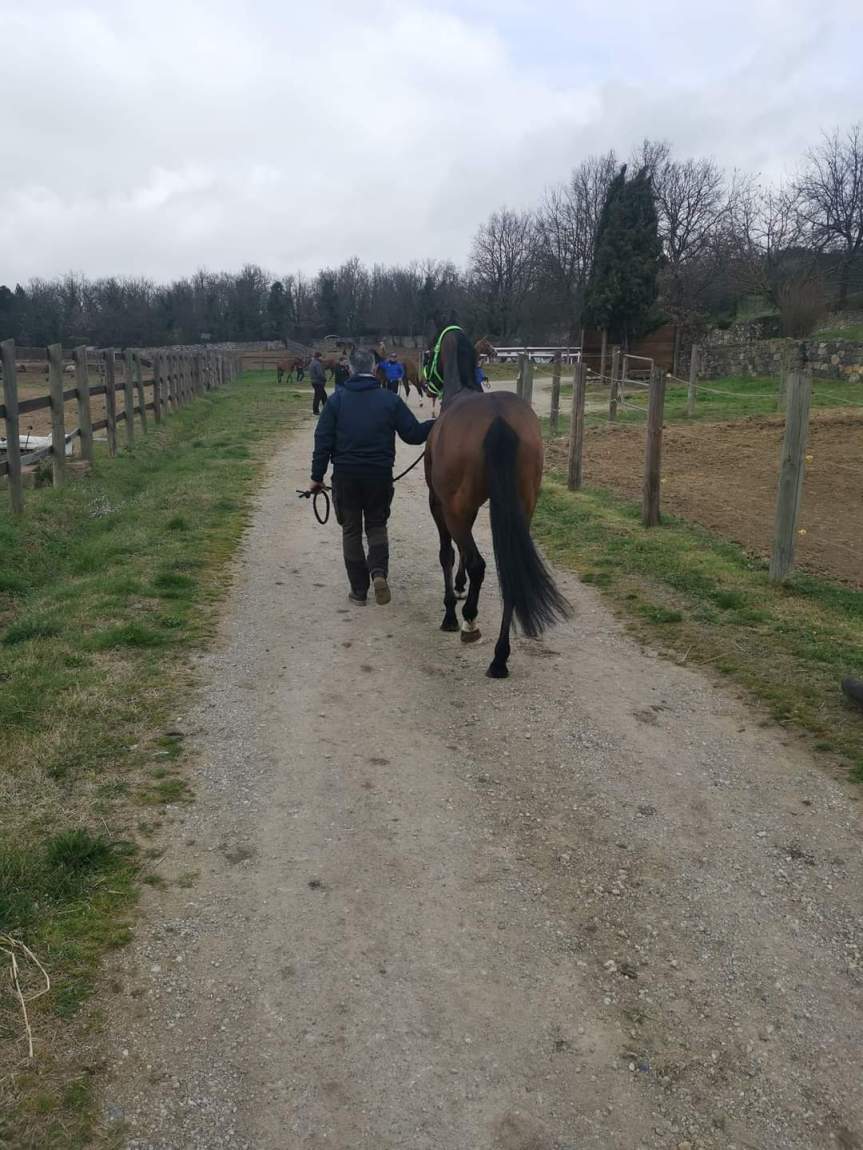 Palio di Siena, Previsite: Oggi 11/03 interviste a Tittia, Scompiglio e Sindaco De&nbsp;Mossi