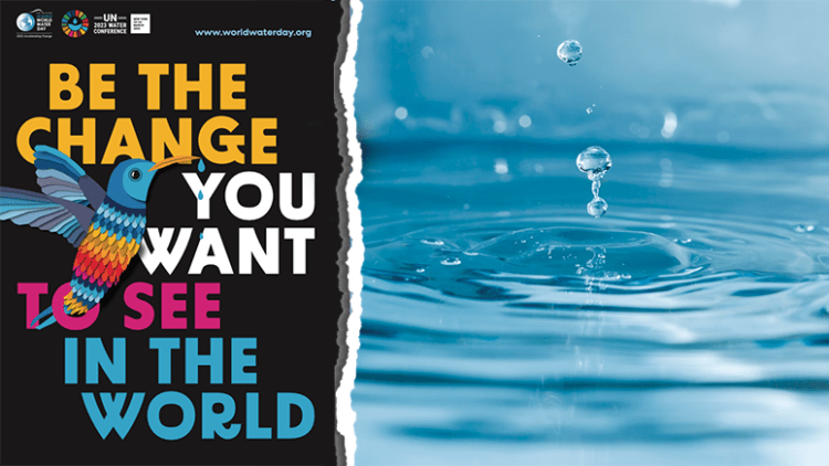 Siena, Coldiretti: “Giornata dell’acqua: salviamo 1 solo litro di pioggia ogni&nbsp;10”