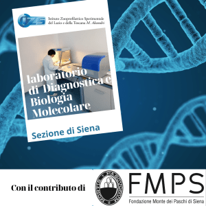 Siena: L’Istituto Zooprofilattico Sperimentale apre il laboratorio di&nbsp;diagnostica