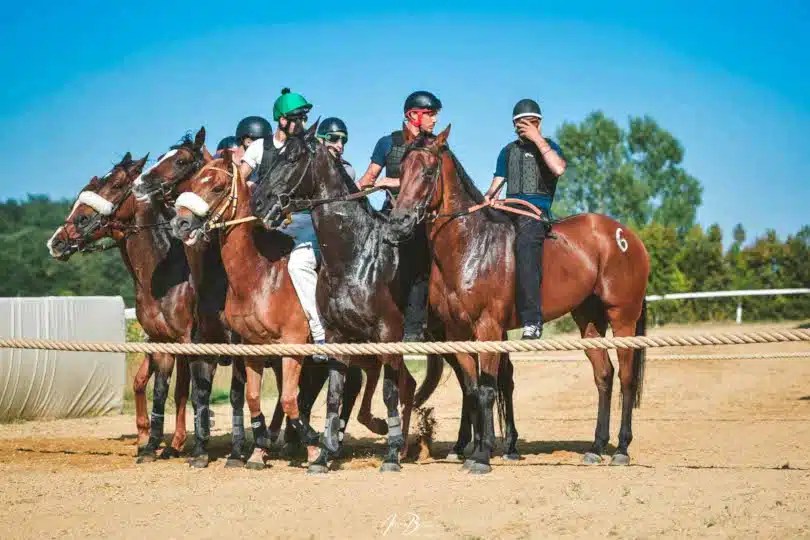 Palio di Siena: Corse a Mociano del&nbsp;09/05