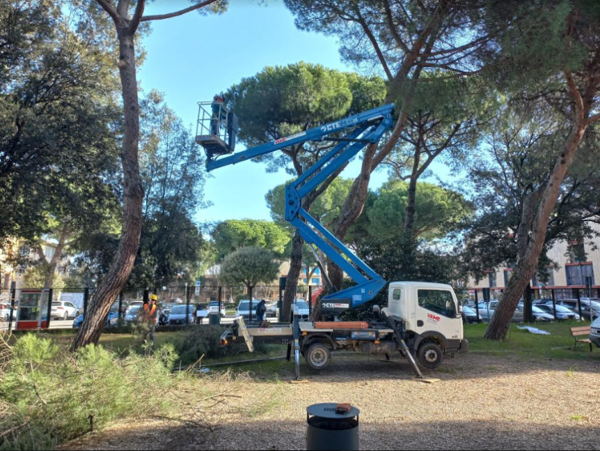Siena, Avviata l’operazione di potatura e di sistemazione delle piante del Parco Norma&nbsp;Cossetto