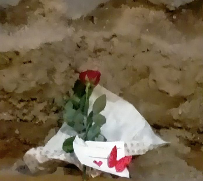 Siena: Scheletro in via Camollia, a depositare la rosa un bambino di otto&nbsp;anni