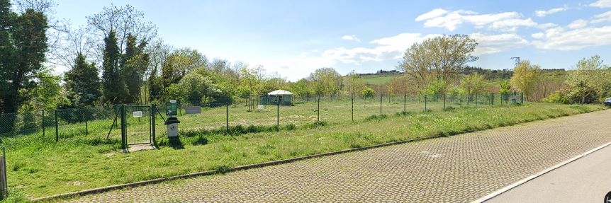 Siena: Area cani di Taverne, si rinnova il patto tra proprietari e&nbsp;Comune