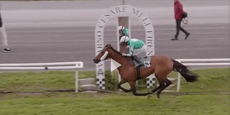 Ippica, Firenze: Oggi 04/05 Risultati Odierno Convegno di&nbsp;Corse