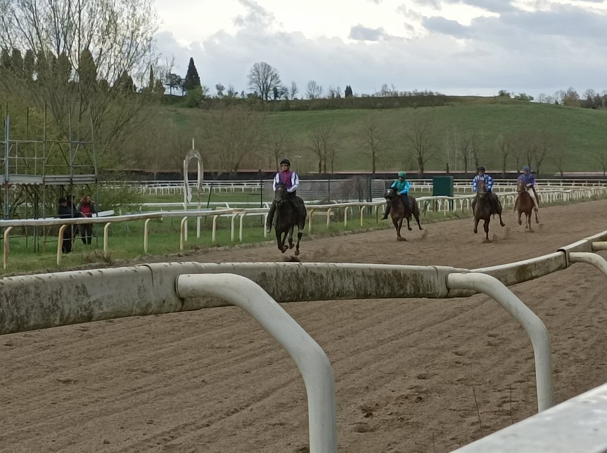 Palio di Siena, Pian delle Fornaci, Castellani e Deledda: “Sviluppare l’area per l’allenamento dei cavalli da Palio e le manifestazioni&nbsp;ippiche”