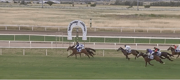 Ippica, Chilivani, Merano e Milano: Oggi 11/06 Risultati Odierno Convegno di&nbsp;Corse