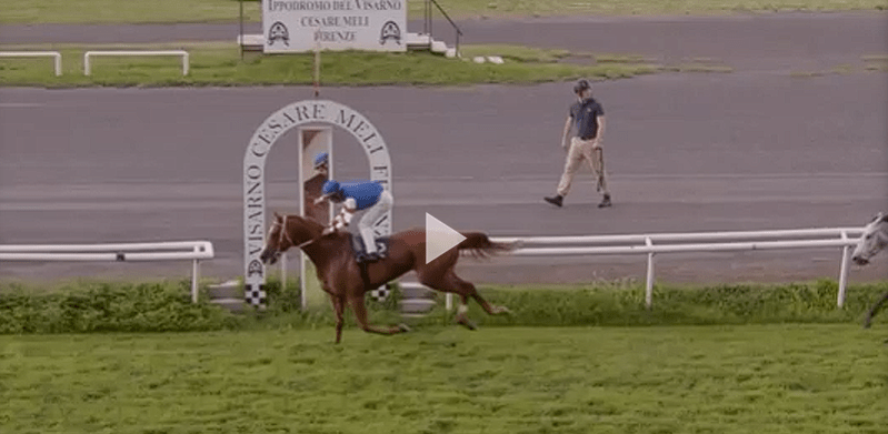 Ippica, Firenze: Oggi 11/05, Corse A.A., Beniamino ha vinto la 3^, De Tzaramonte Vince la&nbsp;6^