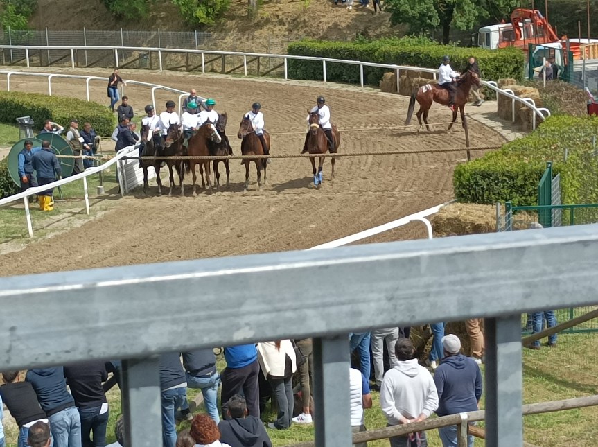 Palio di Fucecchio: Oggi 17/05 scelti i 12 cavalli per il Palio di domenica&nbsp;21/05
