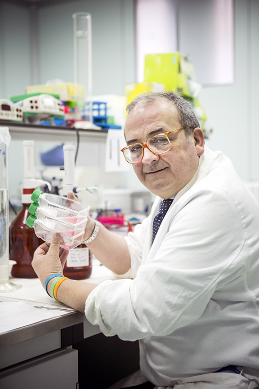 Siena: Festa della Mamma, torna l’Azalea della Ricerca di AIRC. Il professor Maio ospite&nbsp;Geo