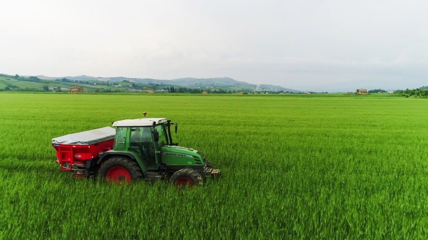 Provincia di Siena, Ruralità e produzioni agricole: bando da 300mila euro per la Toscana&nbsp;diffusa