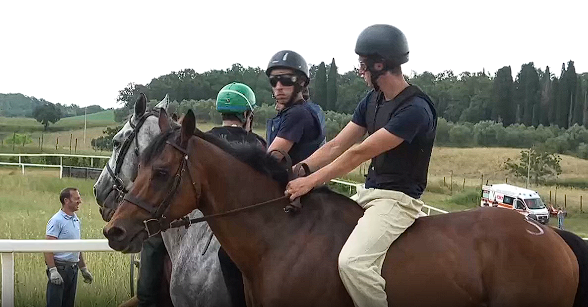 Palio di Siena: Il Comune scrive ai proprietari dei cavalli esclusi per il 2024