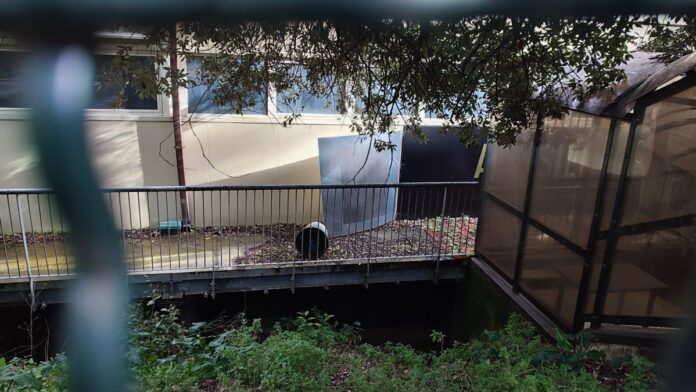 Siena: Stadio Artemio Franchi, il degrado è ormai&nbsp;totale