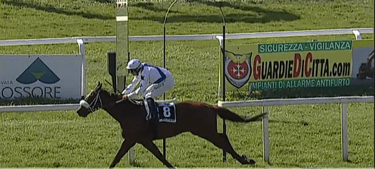 Ippica, Pisa: Una vittoria e due terzi posti per Carlo&nbsp;Sanna