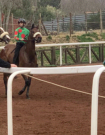 Corse in Provincia: Grande prestazione di Anda e Bola nelle corse a&nbsp;Piancastagnaio