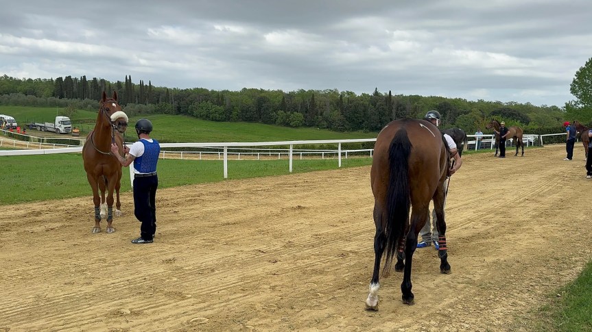 Palio di Siena: Scomparsa Lorenzo Viti, un minuto di raccoglimento a&nbsp;Mociano