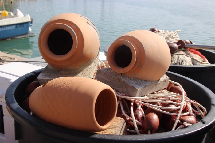 SIena: A Talamone la Casa dei polpi in collaborazione con&nbsp;l’Università