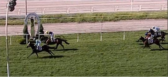 Ippica, Napoli: Oggi 28/12 Risultati Odierno Convegno di&nbsp;Corse