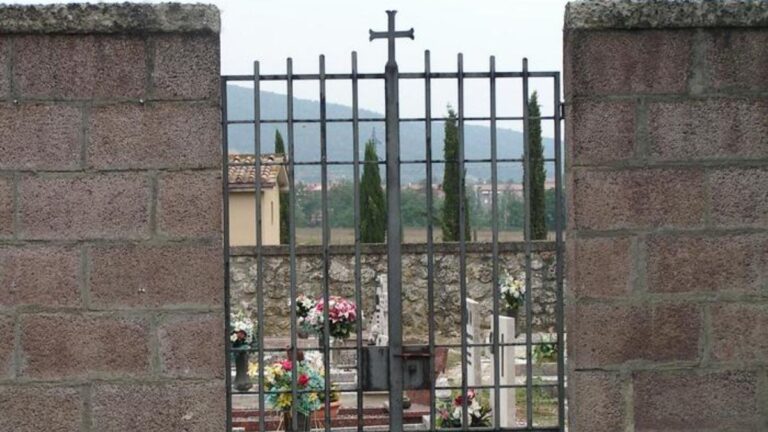 Perovincia di Siena: Rubano la pianta di olivo davanti alla cappella del cimitero