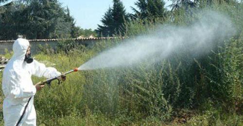 Provincia di Siena: Rapolano Terme, via al trattamento contro la zanzara&nbsp;tigre