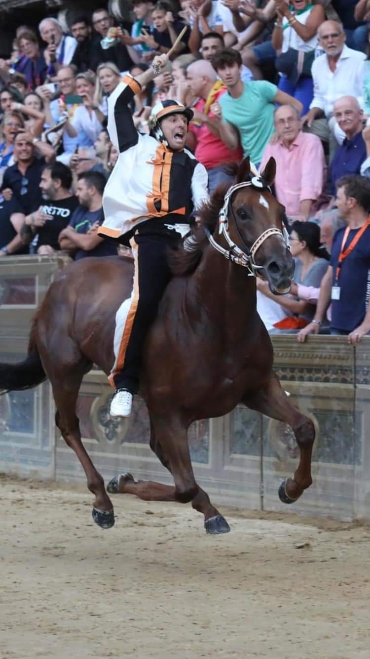 Palio di Siena, Dino Pes: “Ho fiducia nella Giustizia Paliesca, spero mi venga tolto il Palio di&nbsp;squalifica”