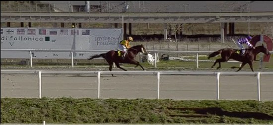 Ippica, Follonica e Roma: Oggi 09/09 Risultati Odierni Convegni di&nbsp;Corse