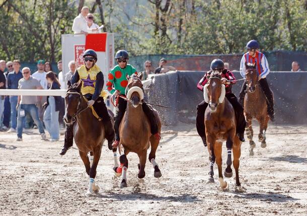 Palio di Legnano corse di addestramento: in evidenza Caria e&nbsp;Sanna