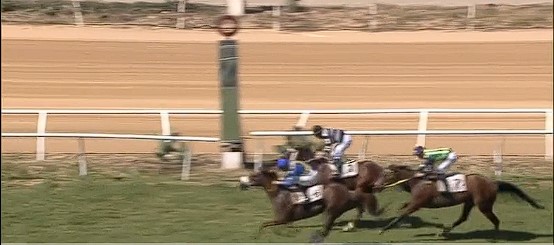 Ippica, Milano e Siracusa: Oggi 08/12 Risultati Odierni Convegni di&nbsp;Corse