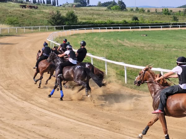 Palio di Siena: Mociano, i cavalli si mettono in mostra davanti al sindaco – La fotogallery di Nicolò&nbsp;Ricci