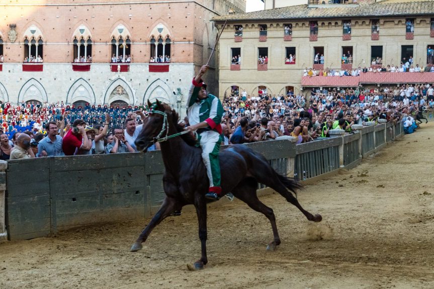Palio di Siena: Diodoro, il racconto della veterinaria Pascucci&nbsp;Pepi