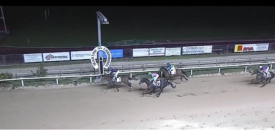 Ippica, Corridonia: Oggi 28/08 Risultati Odierno Convegno di&nbsp;Corse