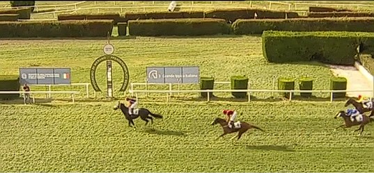 Ippica, Milano, Merano e Roma: Oggi 14/09 Risultati Odierno Convegno di&nbsp;Corse